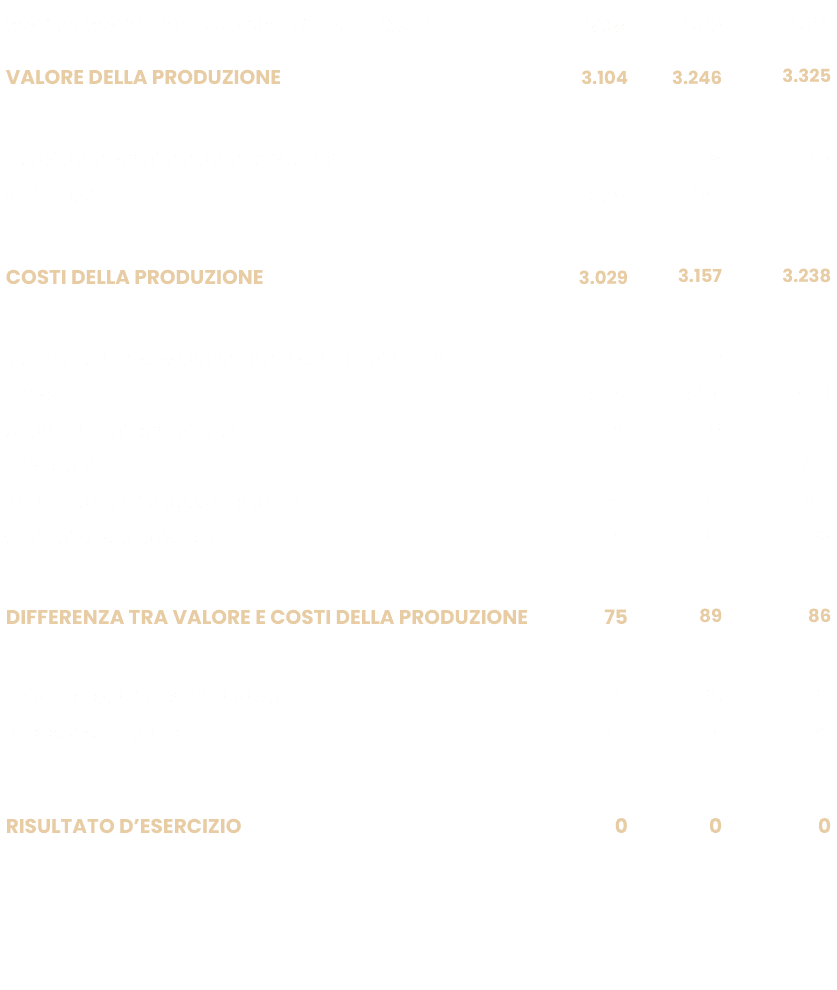 CONTO ECONOMICO RIEPILOGATIVO IN /000 EURO,2022,2023,2024,VALORE DELLA PRODUZIONE, 3.104 ,3.246 ,3.325, , , ,,Ricavi ...