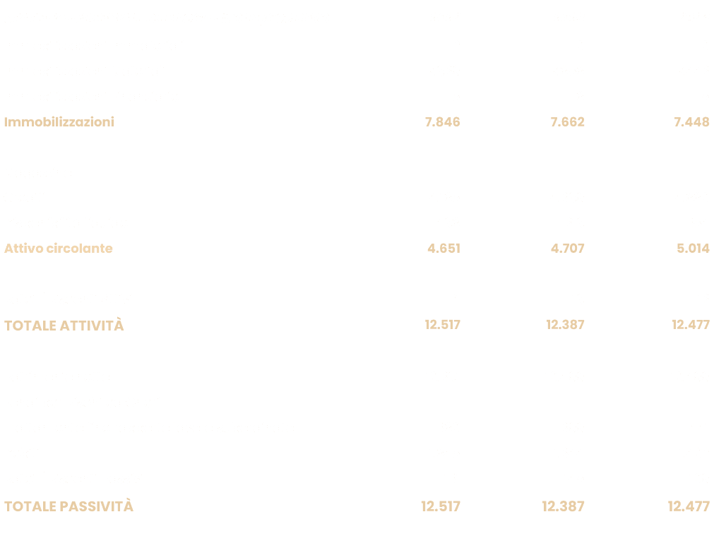 STATO PATRIMONIALE RIEPILOGATIVO IN /000 EURO,2022,2023,2024,Immobilizzazioni Immateriali,2,0,0,Immobilizzazioni Mate...