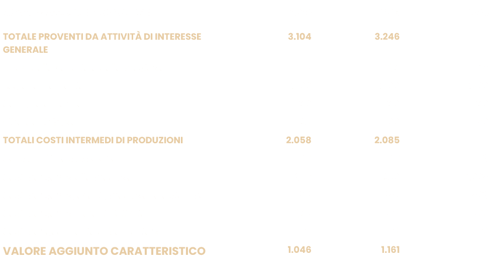 VALORE AGGIUNTO IN /000 EURO,2022,2023,2024,TOTALE PROVENTI DA ATTIVIT DI INTERESSE GENERALE,3.104,3.246,,Ricavi del...