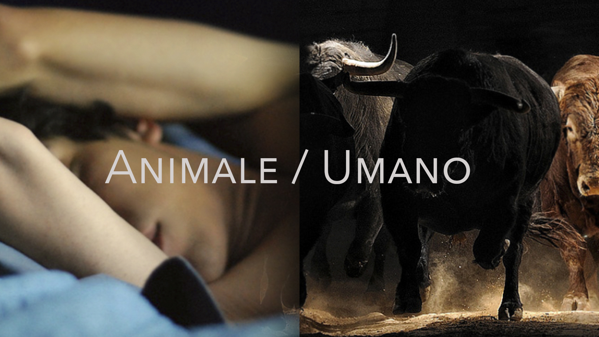 Animale / Umano