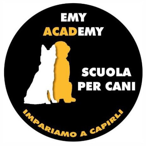 Logo EmyAcademy asd