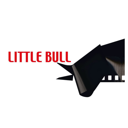 Logo Little Bull