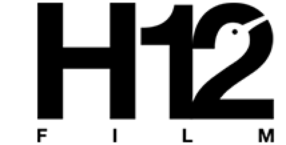 Logo H12 FILM